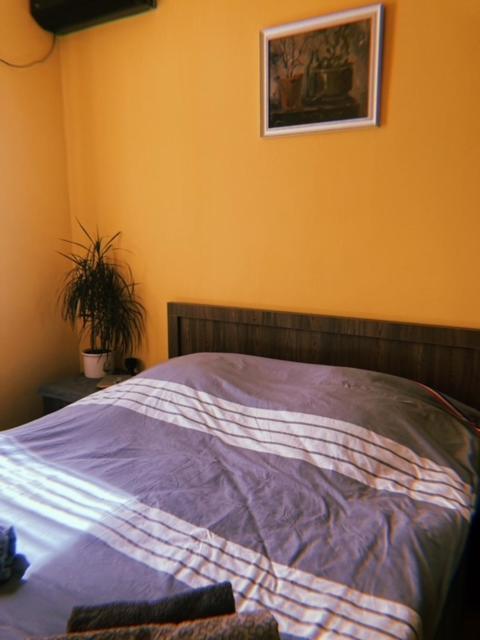 Home Away Home In Heart Of טביליסי מראה חיצוני תמונה